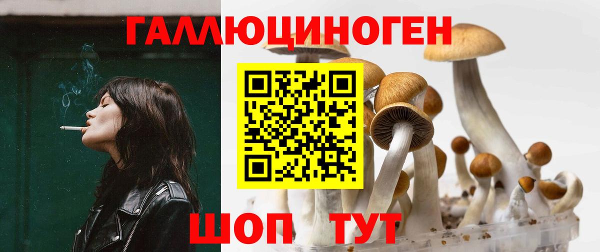 Псилоцибиновые грибы Magic Shrooms  Вход с VPN  наркотики  Стрежевой 